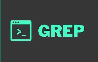 常见的 grep 命令用法及其选项 的封面